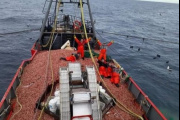 Se eliminan las 72 horas para los fresqueros que operan sobre el langostino