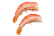 Conarpesa propone elevar al 50% la producción de colas de langostino a bordo