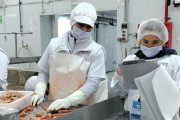 Buscan mejorar los indicadores socio laborales en la pesca