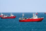 Comienza una nueva prospección de langostino en las subáreas 8 y 14 del AVPJM