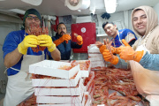 Habilitan la pesca de langostino solo en la mitad este de la Subárea 12