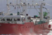 Ocho buques prospectan la subárea 11 y la mitad oeste de la subárea 12 en busca de nuevos rendimientos de langostino
