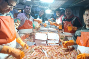 Pesca Nación pidió al INIDEP diseñar una prospección de langostino en las Subáreas 7 y 9