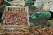 El langostino empujó los desembarques pesqueros y acumula una suba del 121% en 2026