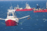 Buscan extender la temporada de langostino con una nueva prospección