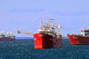 Cero langostino y mucha merluza en las subáreas 9 y 13
