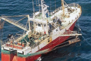 CAPEAR ALFA salió al cruce de las 50.000 toneladas de langostino que pide Santa Cruz