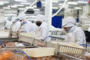 Sea Fresh de Cabo Vírgenes y el STIA pactan que el 70% del salario sea no remunerativo