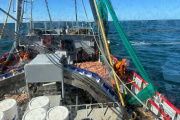 La prospección de langostino en aguas de Chubut comenzará el 26 de octubre