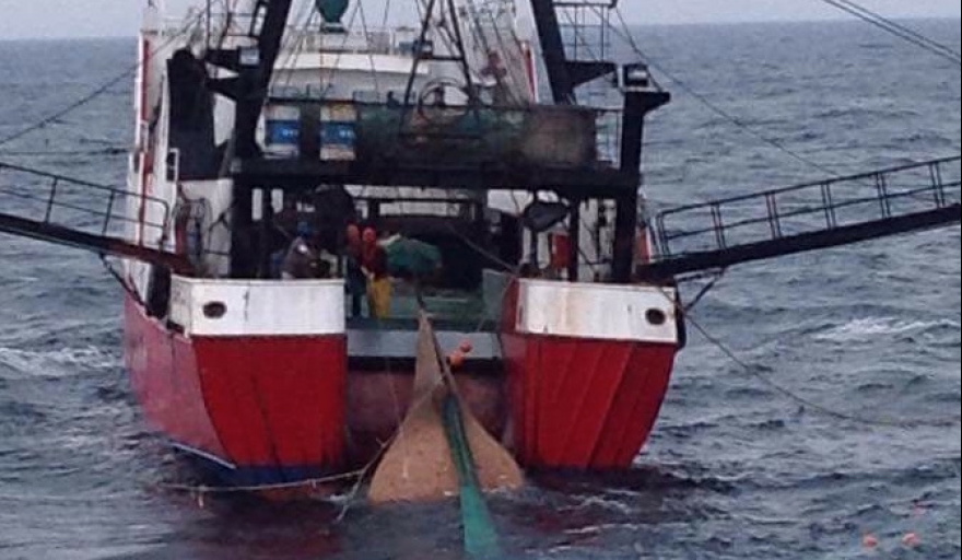 Las cámaras pesqueras presentaron una propuesta salarial para destrabar la temporada de langostino