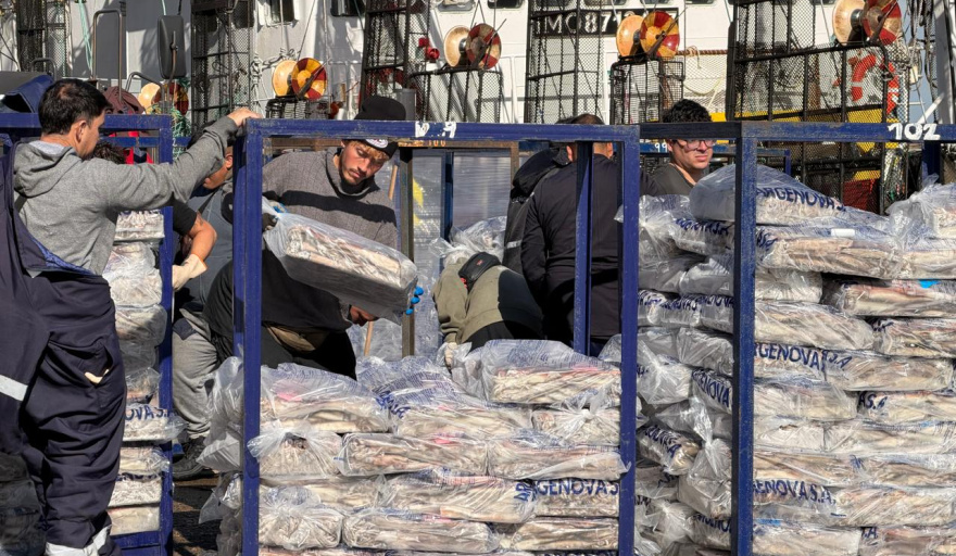 El potero HOYO MARU 37 descargó 500 toneladas de calamar en Puerto Deseado