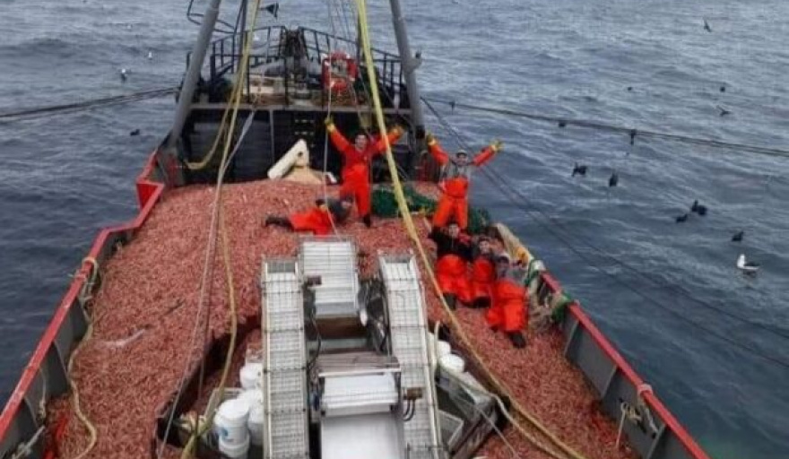 Se eliminan las 72 horas para los fresqueros que operan sobre el langostino