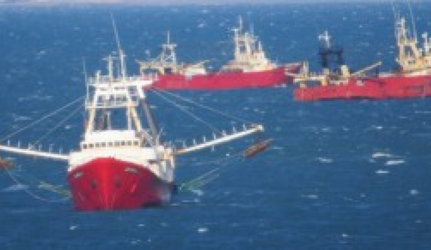 Buscan extender la temporada de langostino con una nueva prospección