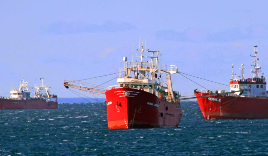 Cero langostino y mucha merluza en las subáreas 9 y 13