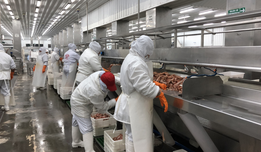 Una herramienta clave para la industria pesquera pone a prueba la abulia del Concejo Deliberante de Puerto Deseado