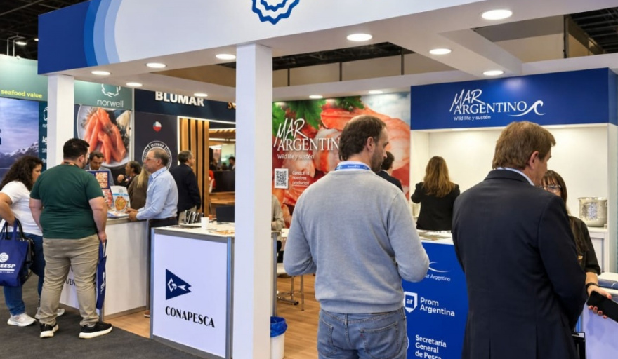 Brasil paga más por la merluza argentina, pero compra casi lo mismo